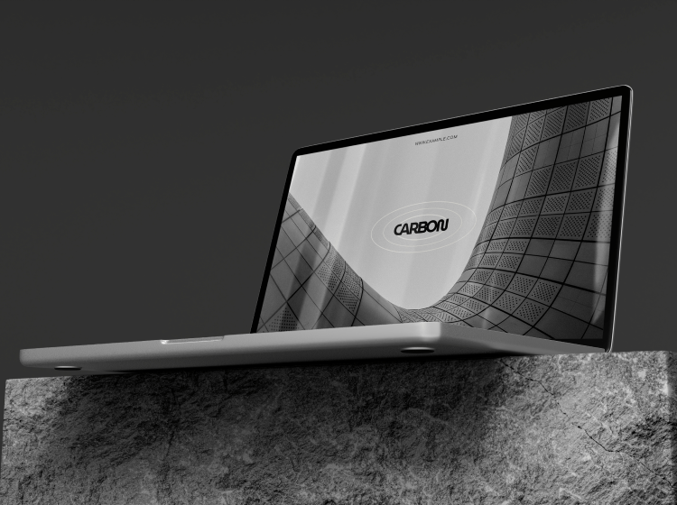 Project Pic 1 png